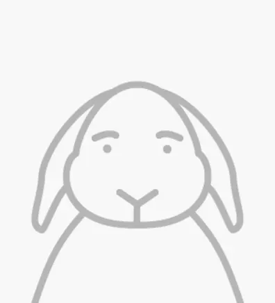Placeholder Stencil Bunny